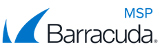 Barracuda_MSP_noslogan-logo232x.png
