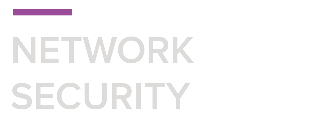 Network Security Pillar.JPG